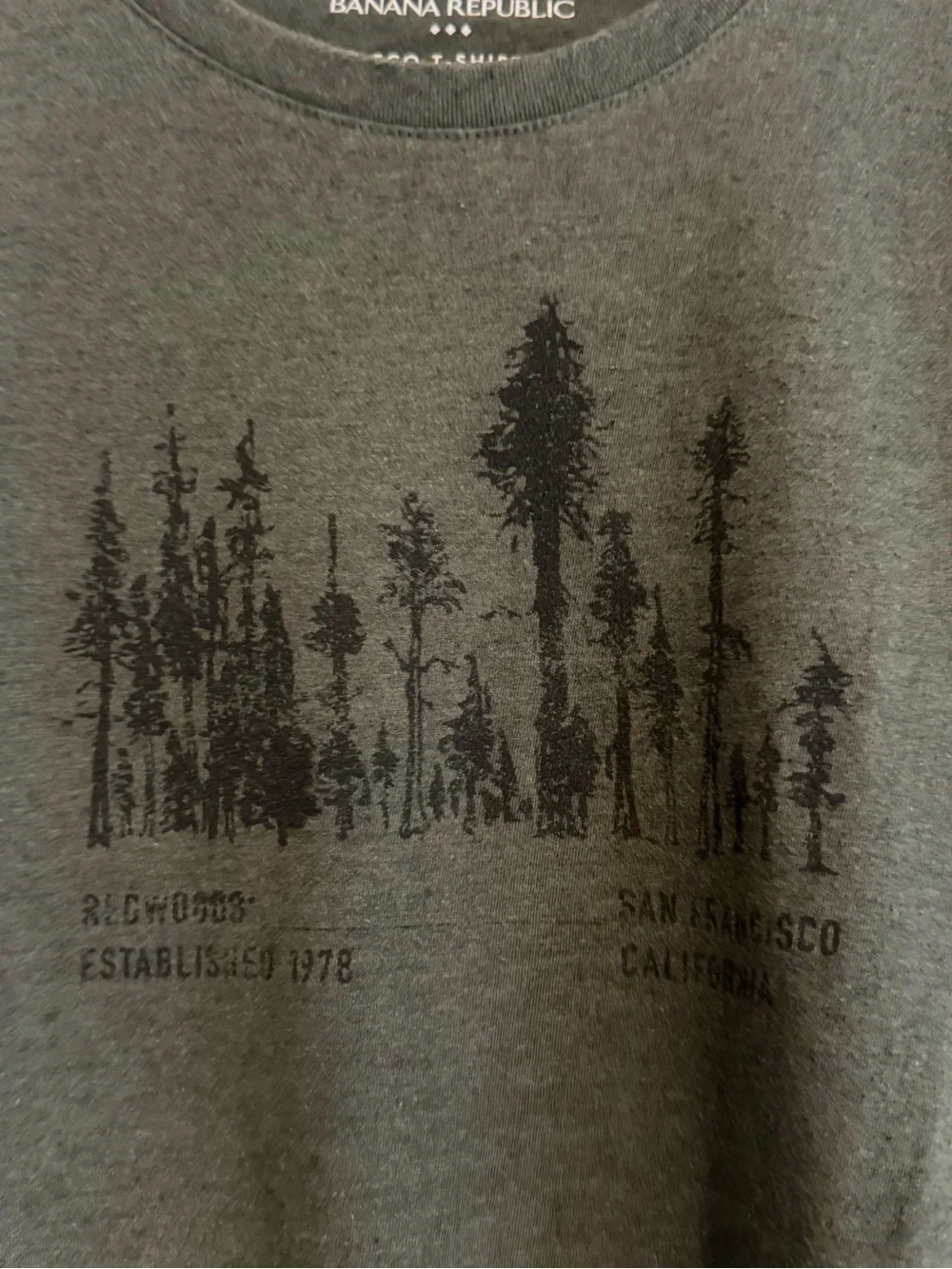 Banana Republic Redwoods Tee